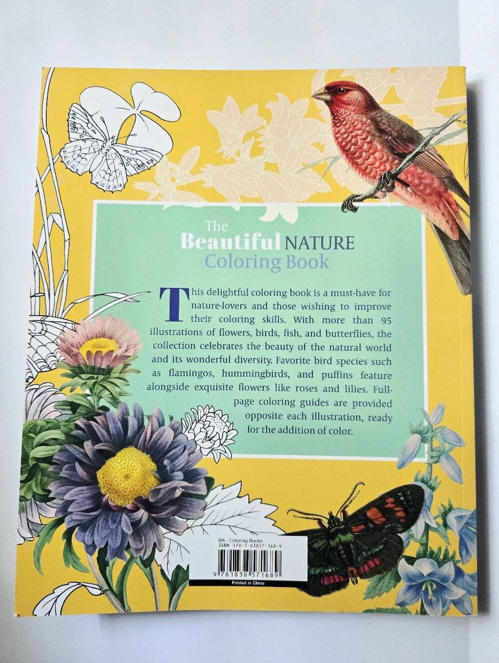 The Beautiful Nature Adult Vintage Coloring Book